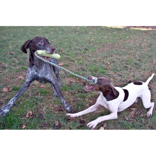 KONG Air Fetch Stick w/ Rope (Large) 發聲棒連繩狗玩具 (L)
